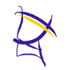 T-shirt in purple yellow