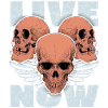 3 skulls, 3 skulls, angel wings saying