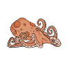 Octopus Octopus