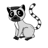 Katte Lemurs