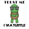 cool turtle