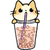 Cute kawaii cat drinking bubble tea child