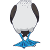 Booby Bird Funny Halloween Costume