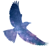 Oiseau de l’espace