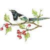 Bunter Vogel
