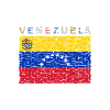 Venezuela Flag Caracas