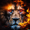 Lion on fire