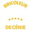Bricoleur de génie 4