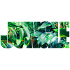 Green wild jungle