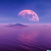 Pink Moon