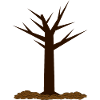 Autumn Tree