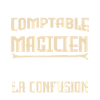 Je suis comptable pas magicienne.