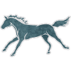 CUTE HORSE GALLOPING