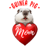 Cochon d’Inde Maman - Mère - Amour