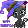 Lovely Halloween’s Kitten