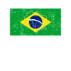 Brazil Flag