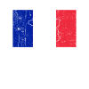 France Flag