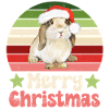 Lapin Lapin Noël