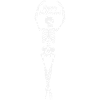 Skeleton Ballet Halloween