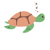 Schildkröte
