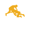 Grappling Martial Arts Wrestling