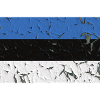 Estonia