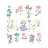 Kindness How To Spread Wildflowers