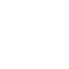 Yorkshire Terrier Papa