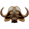 big 5, afrikanisches wildrind