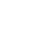 Border Terrier Papa