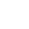 Azawakh Papa