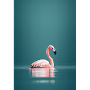 Flamingo in the lake