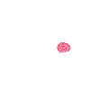 Stick figure brain lost