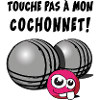 touche pas a mon cochonnet
