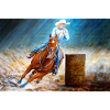 BARREL RACING GIRL