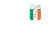 Irlande Drapeau Irlandais