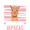 Alpaca Llama