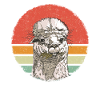 Alpaka Llama