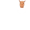 Alpaca Llama