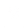 Axolotl fish