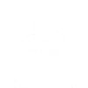 Dragon Mystical Dragon Fantasy