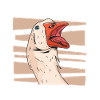 Duck Ducks Bird Animal Quack