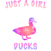 Duck Ducks Bird Animal Quack