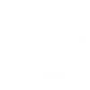 Bird silhouette from cloud
