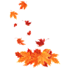 Autumn leaves that fall