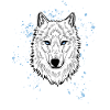 Polarwolf