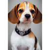 Adorables Chiots