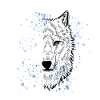 Polar Wolf White Wolf