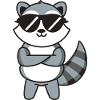 Raccoon Sunglasses Kawaii