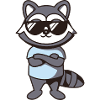 Raccoon Sunglasses Kawaii